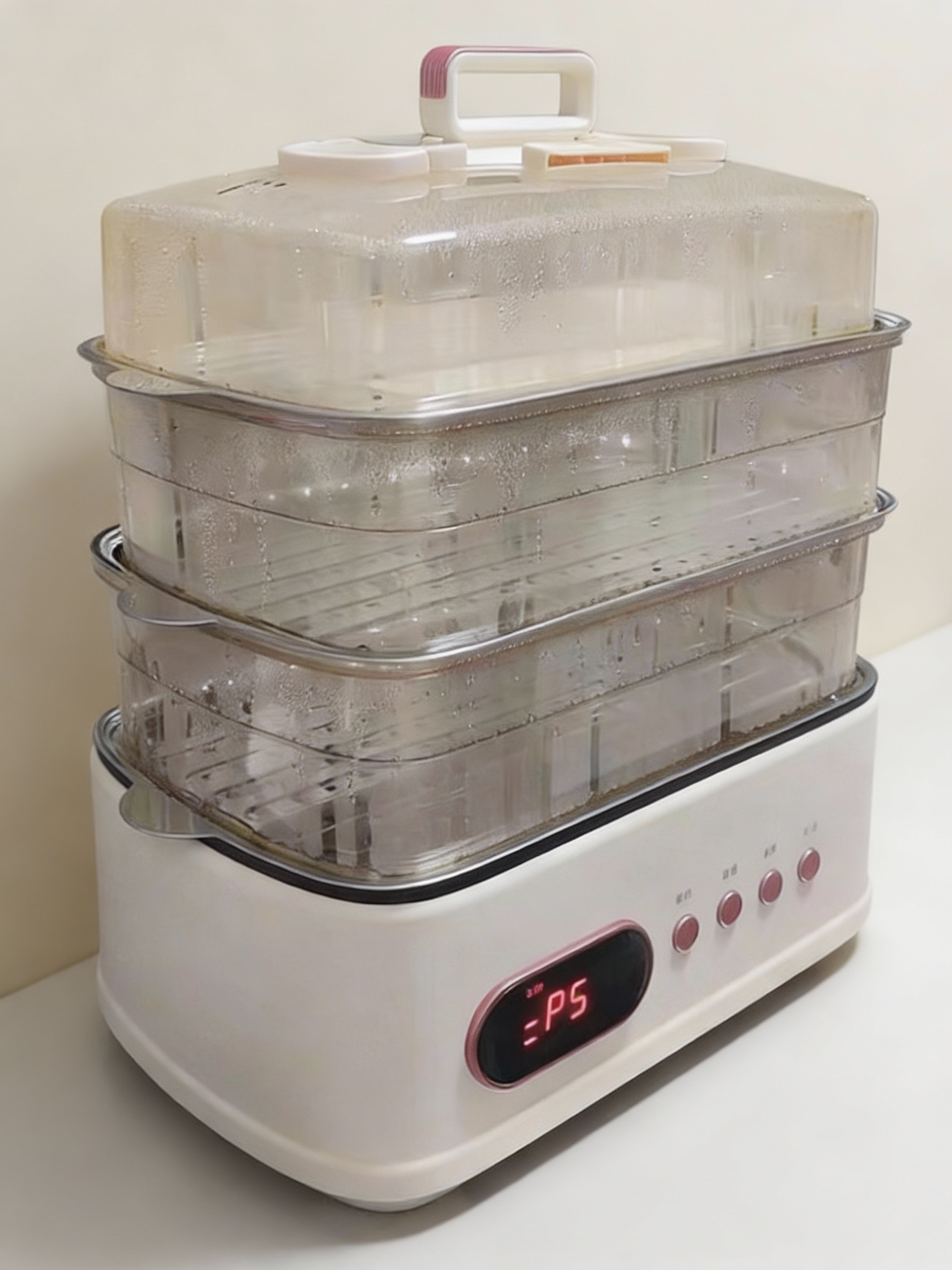 electric_food_steamer_1